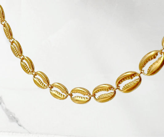 Cadena Conchas Seguidas