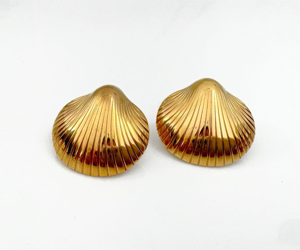 Aretes Concha de Mar