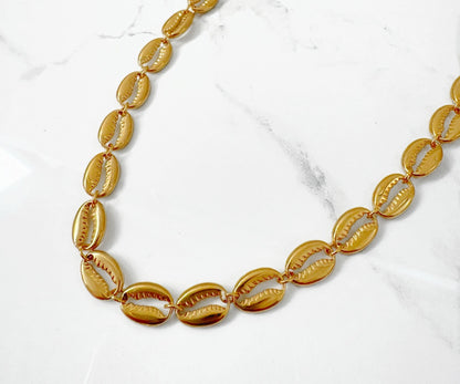 Cadena Conchas Seguidas